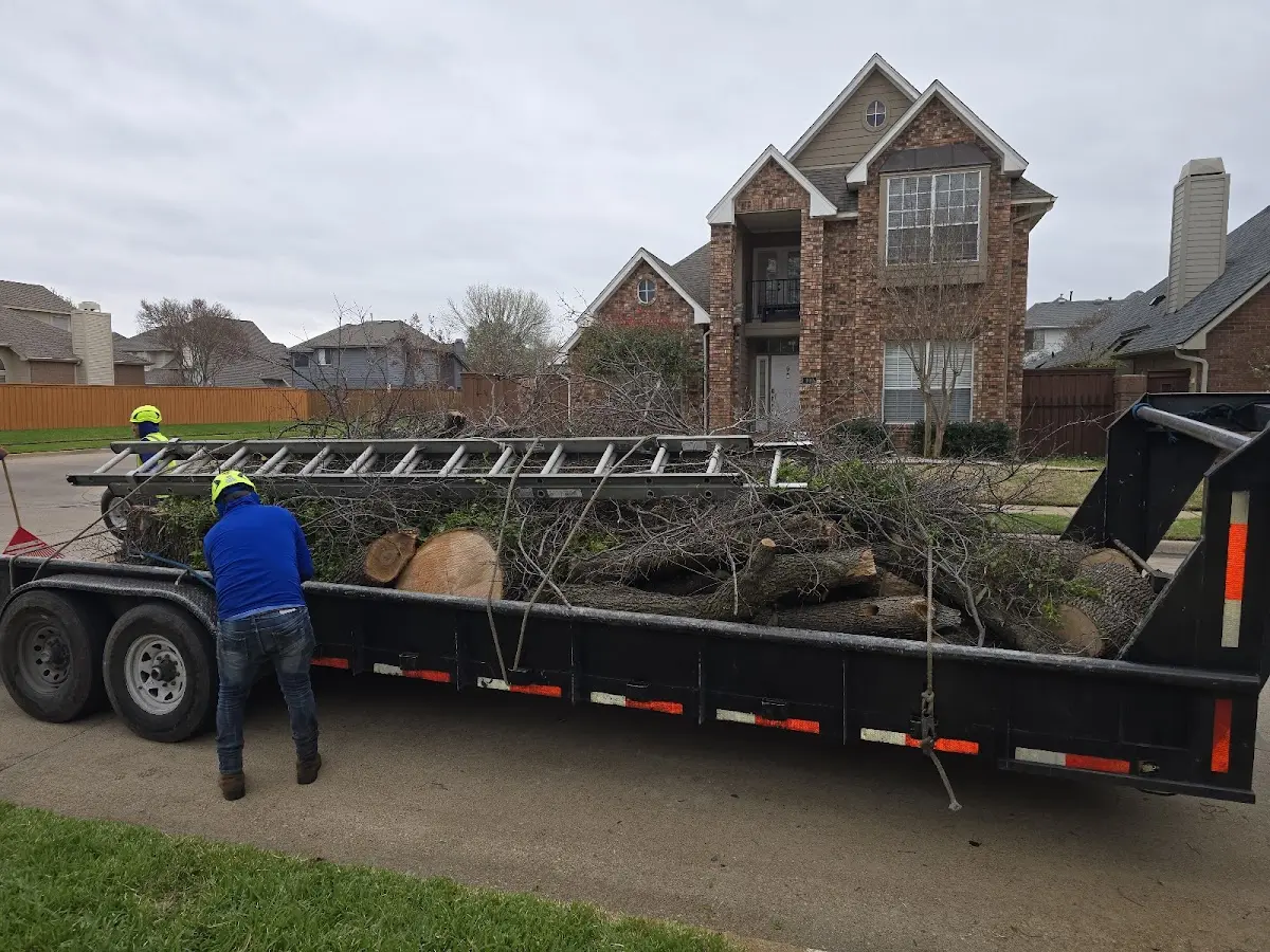 Expert Tree Removal with proper safety equipment in Richmond Dale
